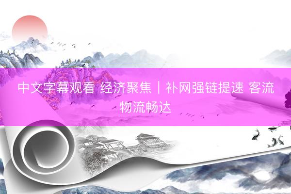 中文字幕观看 经济聚焦｜补网强链提速 客流物流畅达