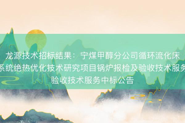 龙源技术招标结果：宁煤甲醇分公司循环流化床锅炉返料系统绝热优化技术研究项目锅炉报检及验收技术服务中标公告
