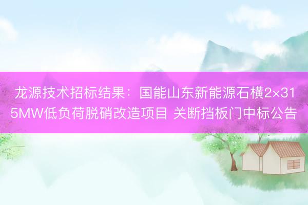 龙源技术招标结果：国能山东新能源石横2×315MW低负荷脱硝改造项目 关断挡板门中标公告