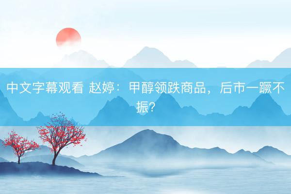 中文字幕观看 赵婷：甲醇领跌商品，后市一蹶不振？