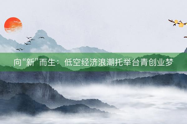 向“新”而生：低空经济浪潮托举台青创业梦