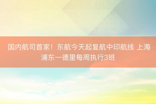  国内航司首家！东航今天起复航中印航线 上海浦东—德里每周执行3班