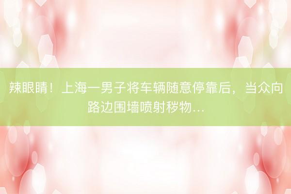 辣眼睛！上海一男子将车辆随意停靠后，当众向路边围墙喷射秽物…