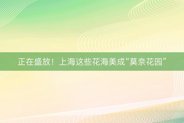 正在盛放！上海这些花海美成“莫奈花园”