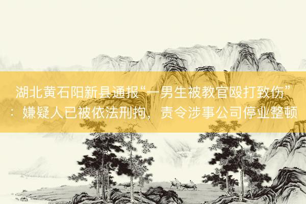 湖北黄石阳新县通报“一男生被教官殴打致伤”：嫌疑人已被依法刑拘，责令涉事公司停业整顿