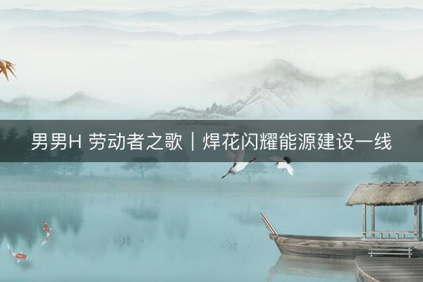 男男H 劳动者之歌｜焊花闪耀能源建设一线