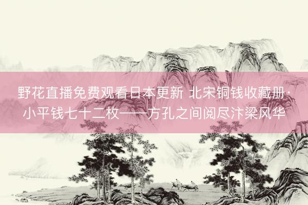 野花直播免费观看日本更新 北宋铜钱收藏册·小平钱七十二枚——方孔之间阅尽汴梁风华