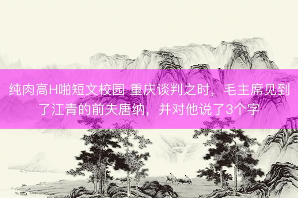 纯肉高H啪短文校园 重庆谈判之时，毛主席见到了江青的前夫唐纳，并对他说了3个字