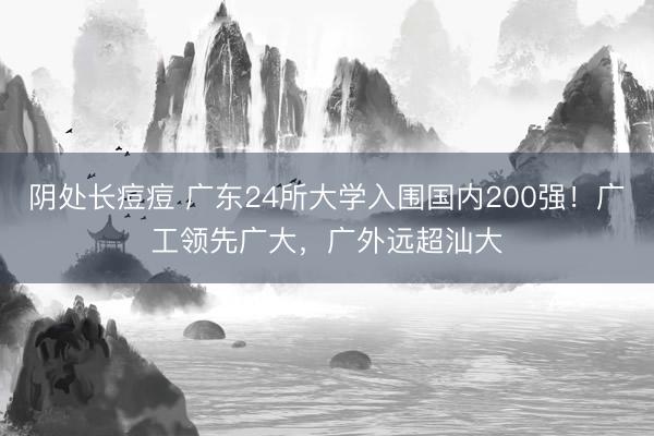 阴处长痘痘 广东24所大学入围国内200强!广工领先广大,广外远超汕大