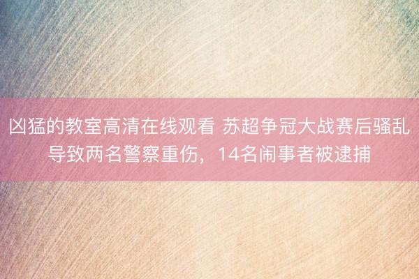 凶猛的教室高清在线观看 苏超争冠大战赛后骚乱导致两名警察重伤，14名闹事者被逮捕