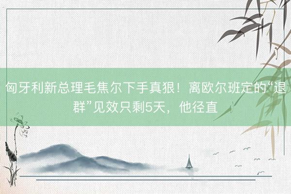 匈牙利新总理毛焦尔下手真狠！离欧尔班定的“退群”见效只剩5天，他径直