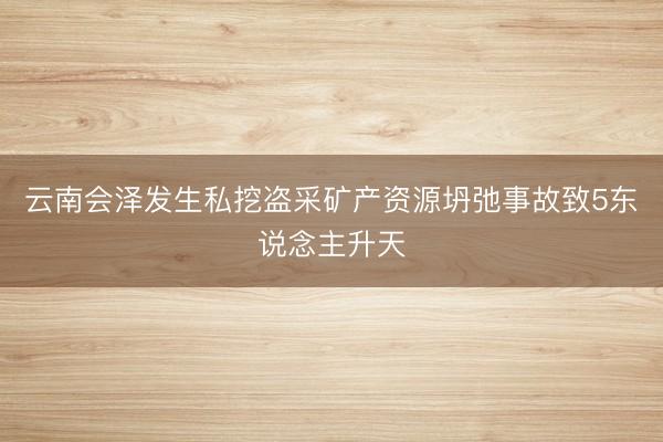 云南会泽发生私挖盗采矿产资源坍弛事故致5东说念主升天