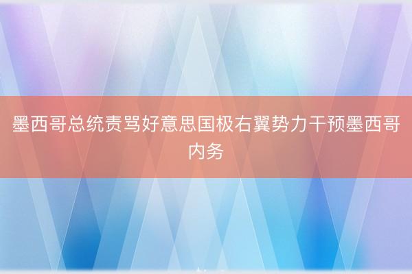 墨西哥总统责骂好意思国极右翼势力干预墨西哥内务