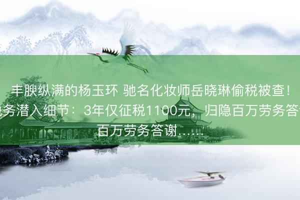 丰腴纵满的杨玉环 驰名化妆师岳晓琳偷税被查!北京税务潜入细节:3年仅征税1100元,归隐百万劳务答谢……