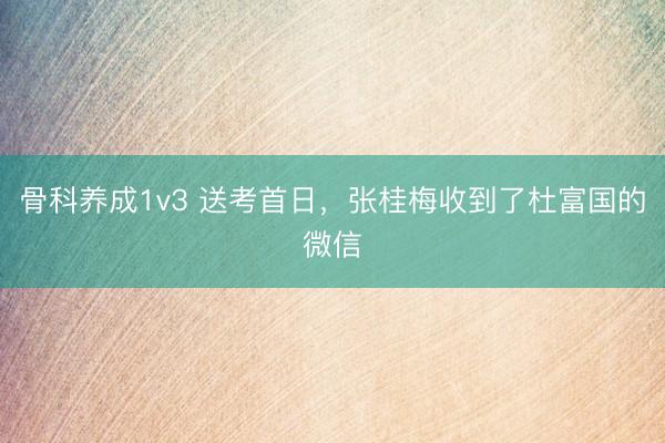 骨科养成1v3 送考首日,张桂梅收到了杜富国的微信