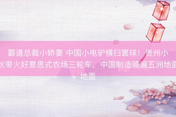 霸道总裁小娇妻 中国小电驴横扫寰球！贵州小伙带火好意思式农场三轮车，中国制造骑遍五洲地面