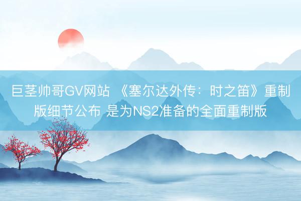 巨茎帅哥GV网站 《塞尔达外传：时之笛》重制版细节公布 是为NS2准备的全面重制版