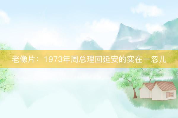 老像片：1973年周总理回延安的实在一忽儿