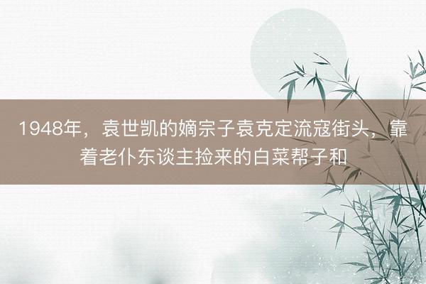 1948年,袁世凯的嫡宗子袁克定流寇街头,靠着老仆东谈主捡来的白菜帮子和
