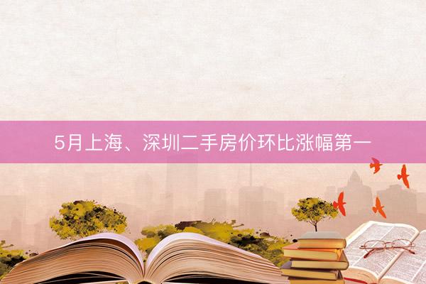 5月上海、深圳二手房价环比涨幅第一