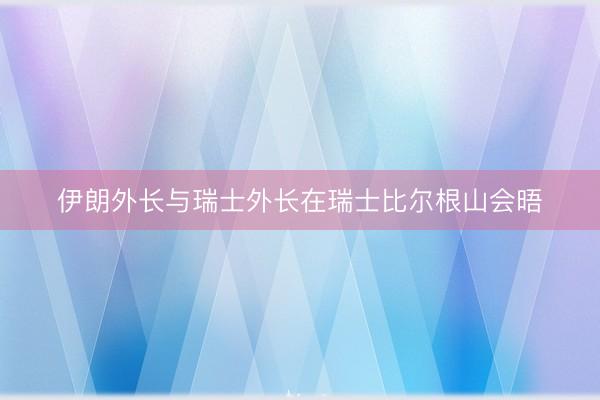 伊朗外长与瑞士外长在瑞士比尔根山会晤